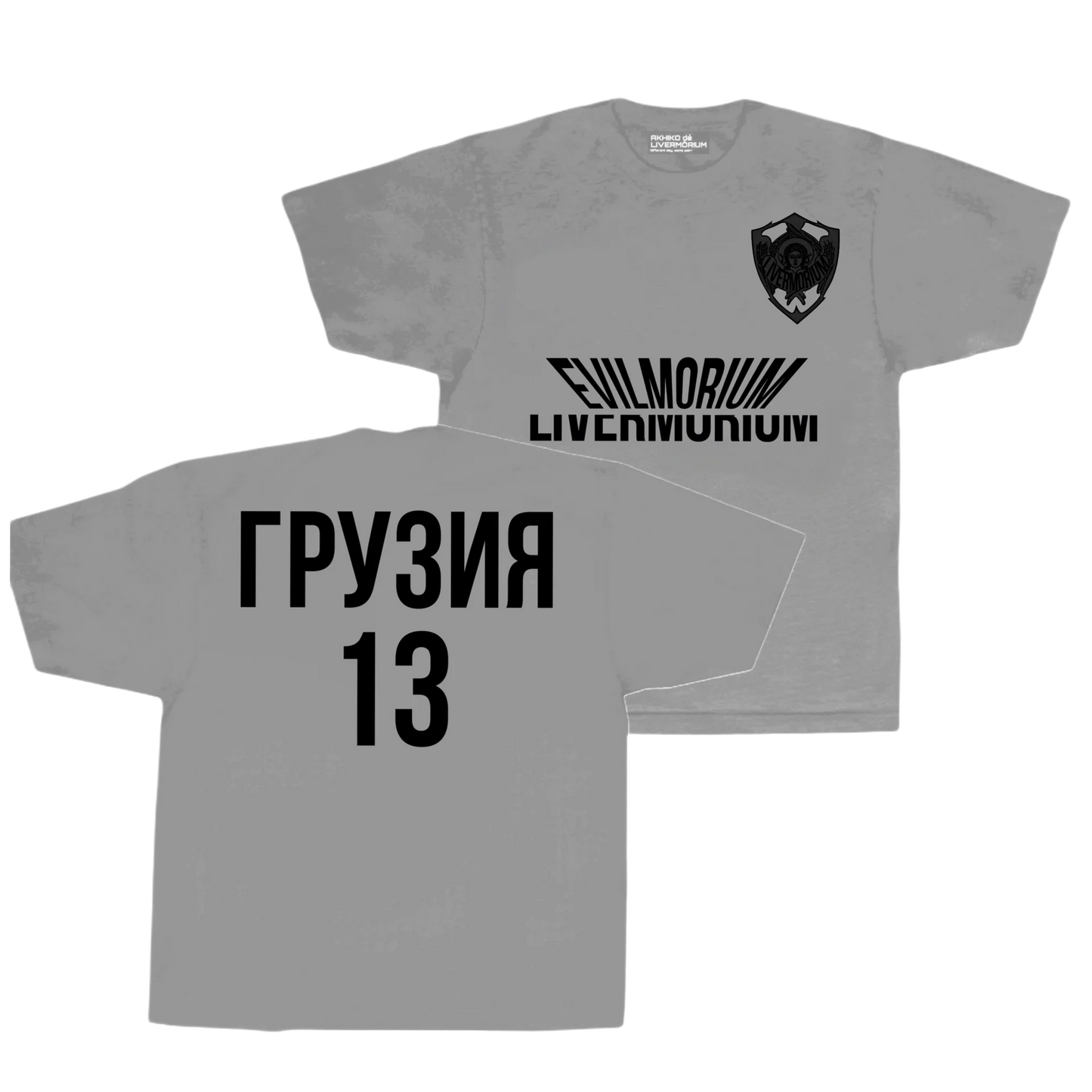 ГРУЗИЯ 13 T-Shirt